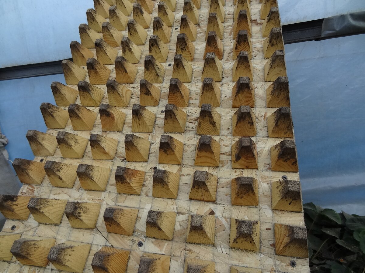 Доска-шаблон.