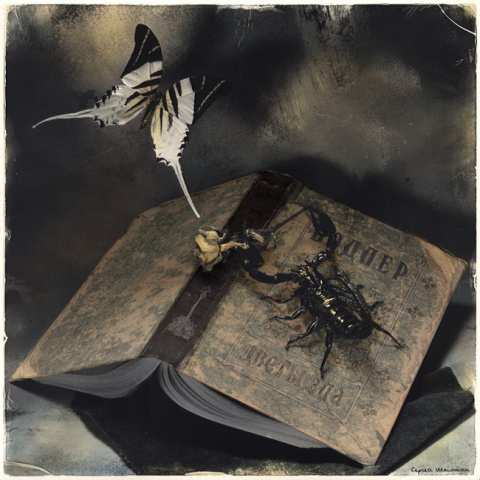 фото из Яндекс картинок