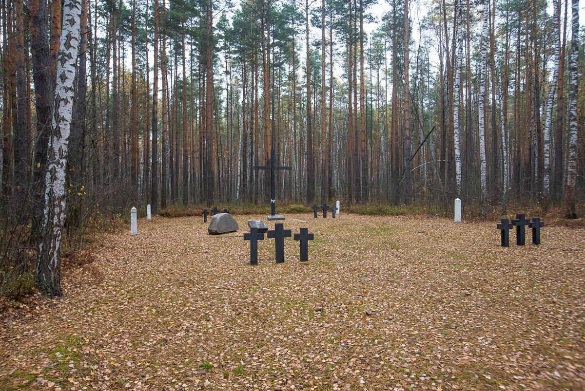 Кладбище военнопленных. Туголесье, Московская область. Фото автора статьи (ещё 1 фото)