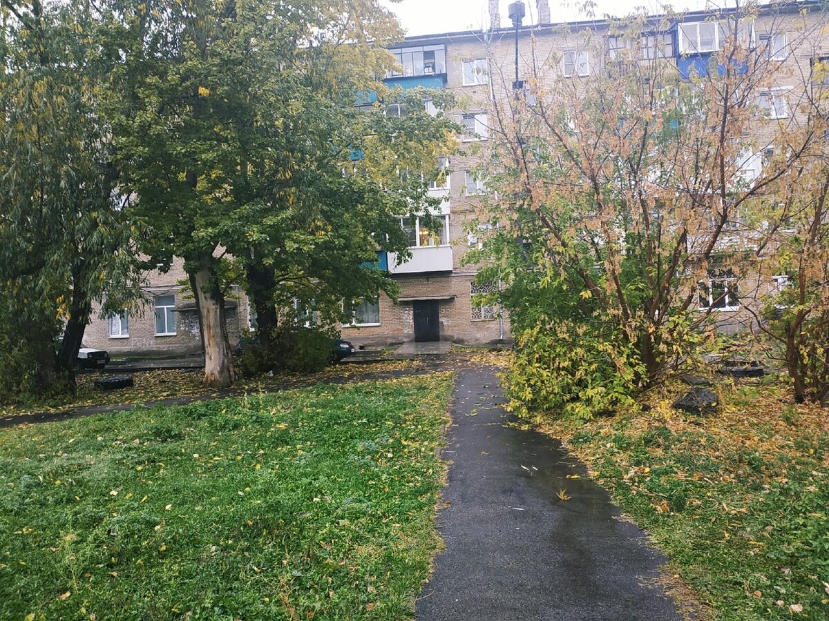 Доброго здравия, читатель!