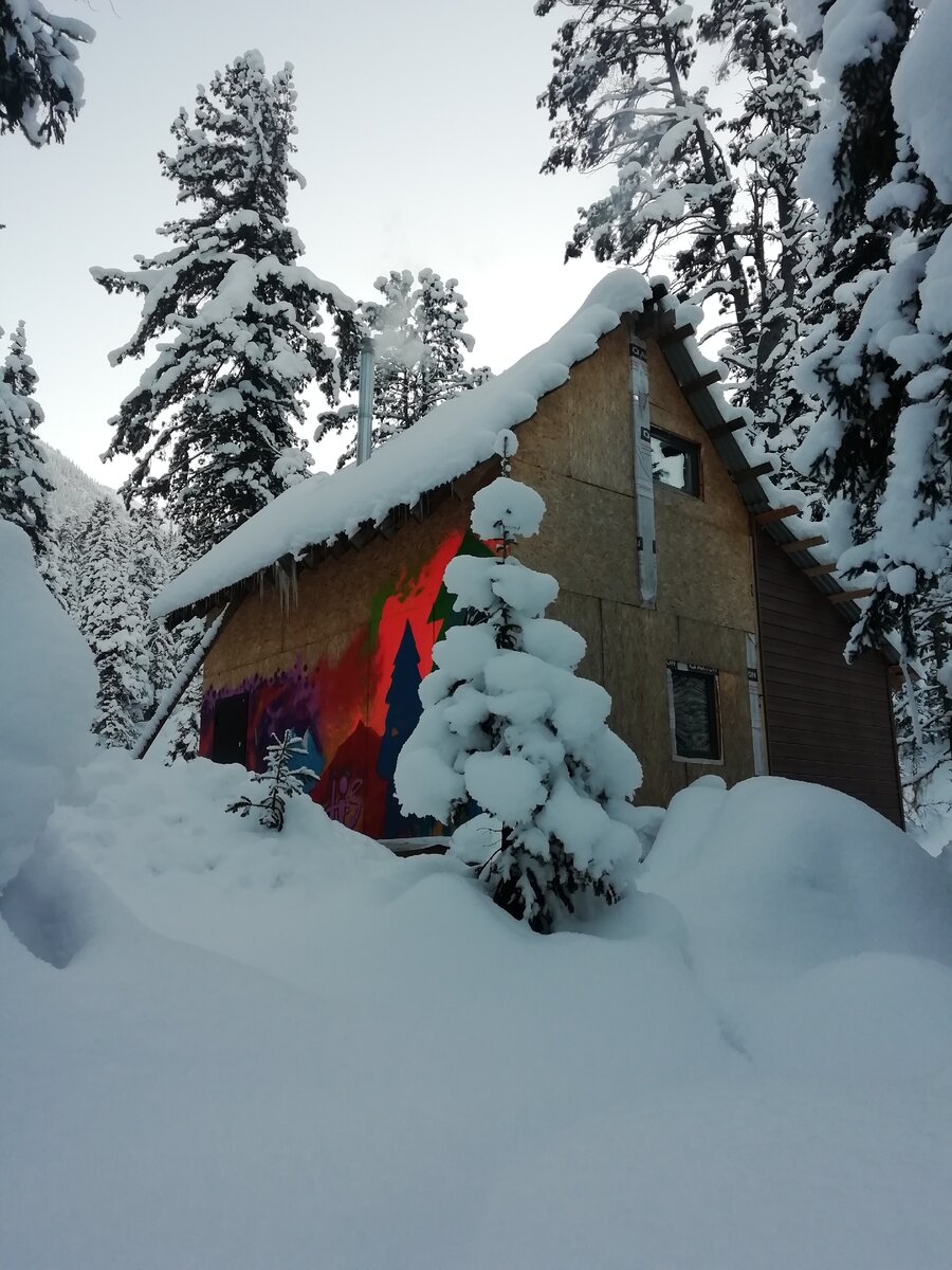 Этот дом в глухой сибирской тайге построил 25-летний парень
