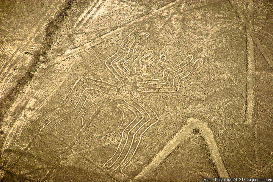 "Линии Наска", фрагмент изображений. Фото Виктор Поляков