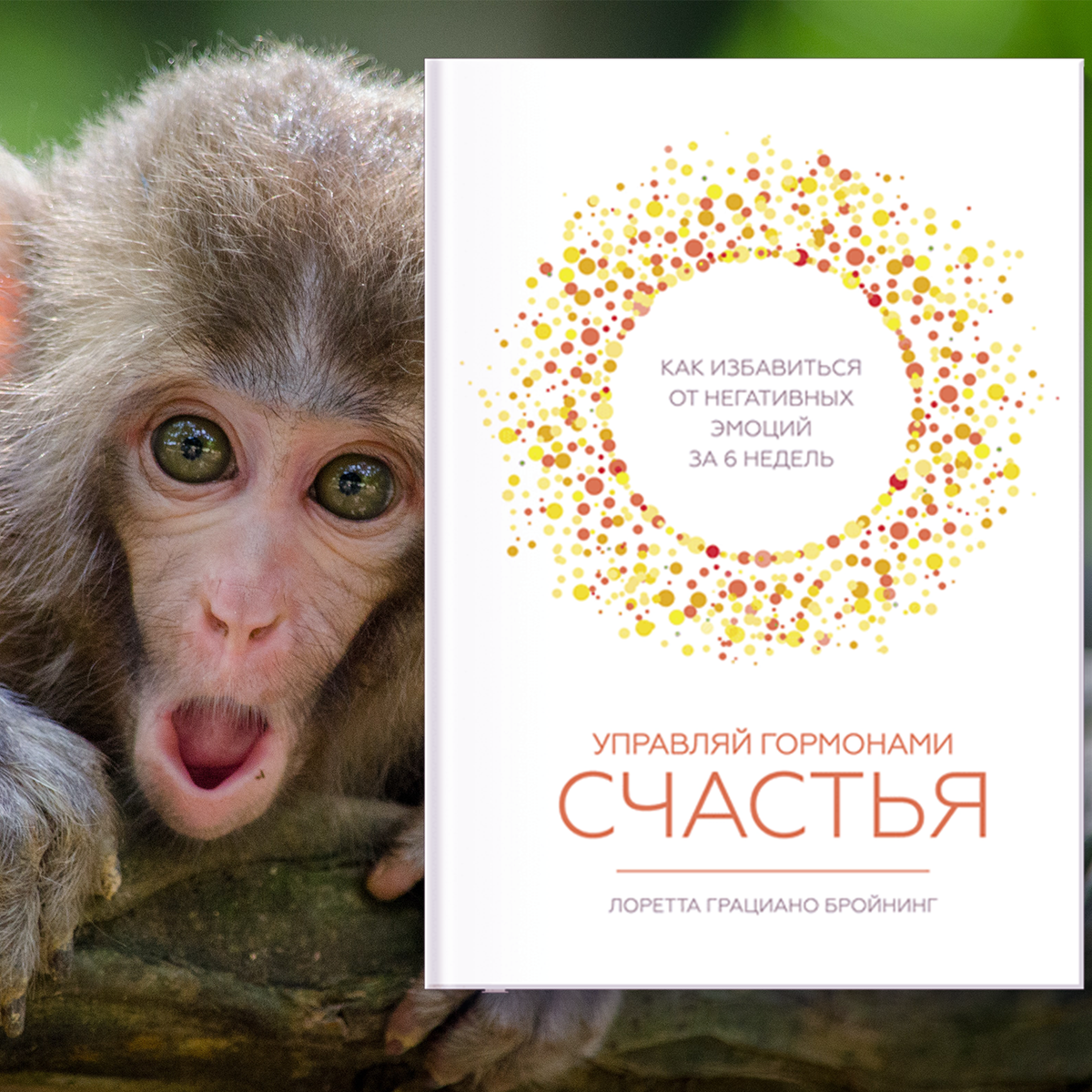 Книга "Управляй гормонами счастья" Лоретты Бройнинг
