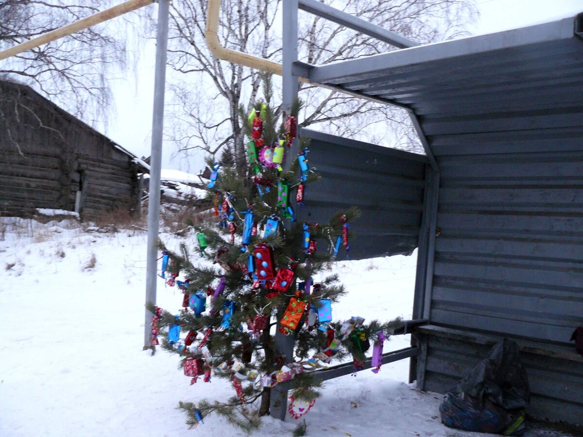 Фото Татьяны Костыревой