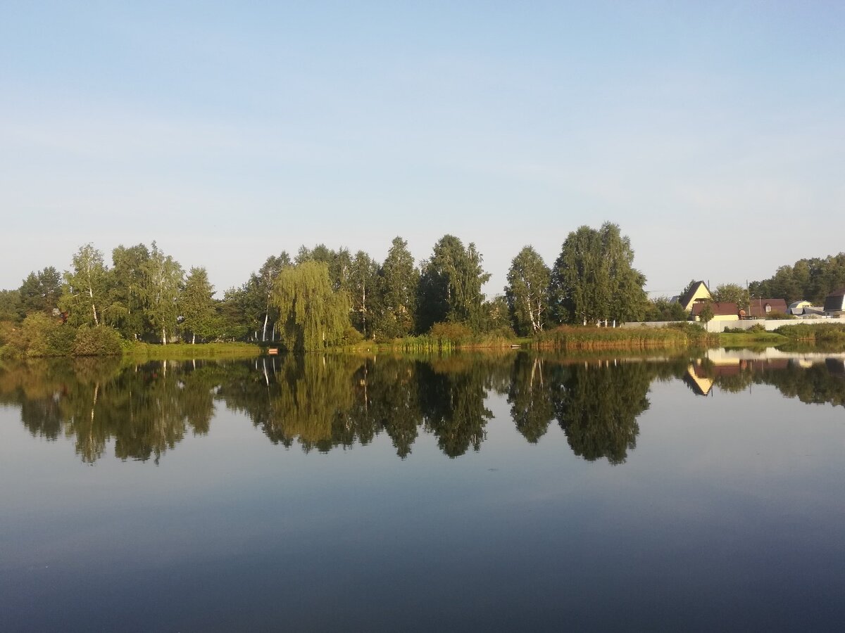 Раннее утро. Птички поют. Но не "баку". снт "Промстроевец" г. Тюмень