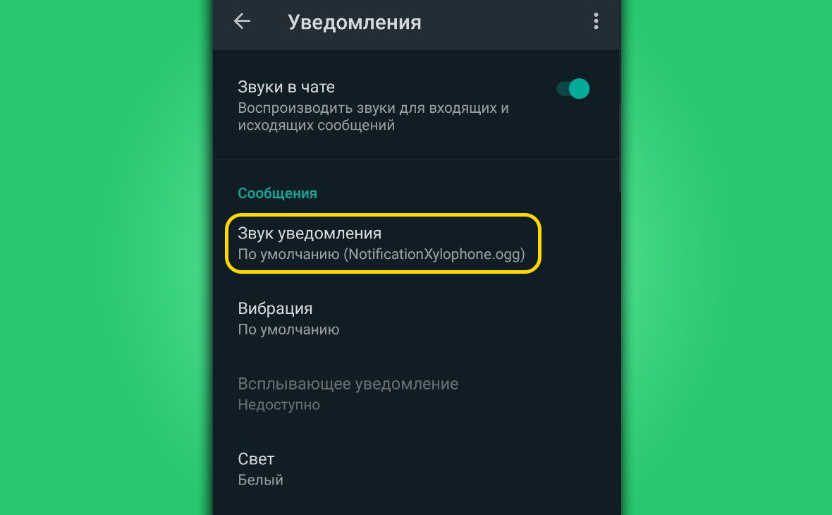 Рассказываю как поставить на сообщение в WhatsApp любую свою мелодию👍 |  Техпросвет | Дзен