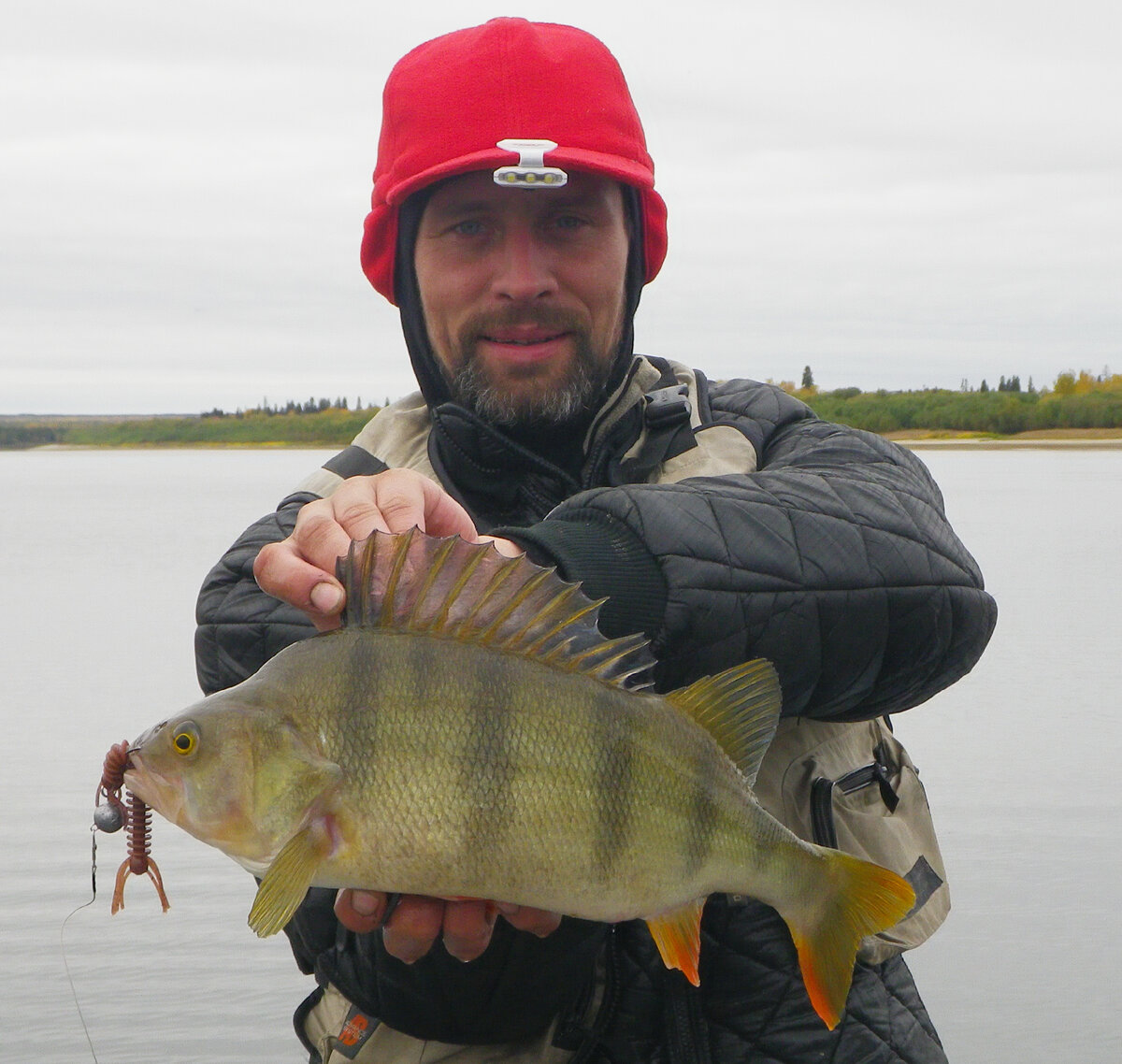 Зачем столько сложностей? Рыбу нашел - поймаешь. А не нашел... | Max Fishing  | Дзен