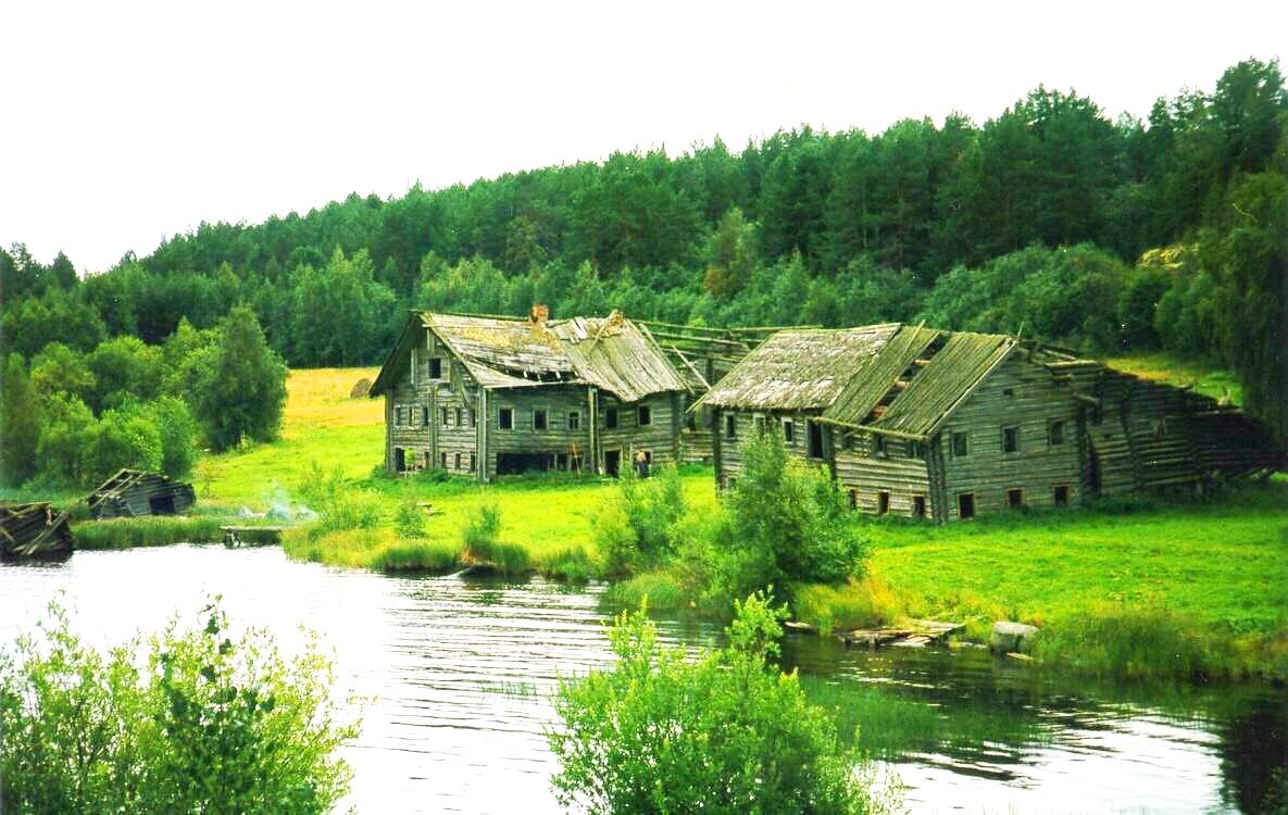 Место бывшей деревни. Деревня Пегрема. Республика Карелия. Карельская деревня Пегрема. Заброшенная деревня в Карелии Пегрема. Деревня Пегрема Медвежьегорский район.