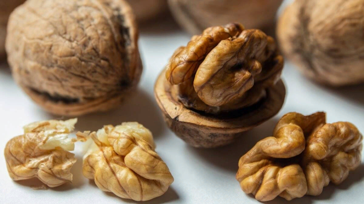 Зеленые орехи: какие болезни лечат, польза и вред, применение, рецепты
