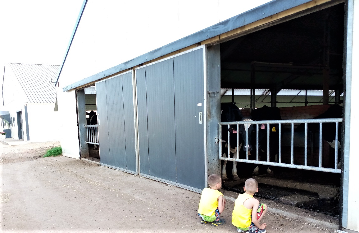                                                                        Здание фермы.