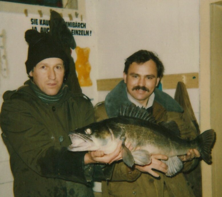 Судак весом более 6 кг. Пойман на жерлицу в реке Хавель (Германия)