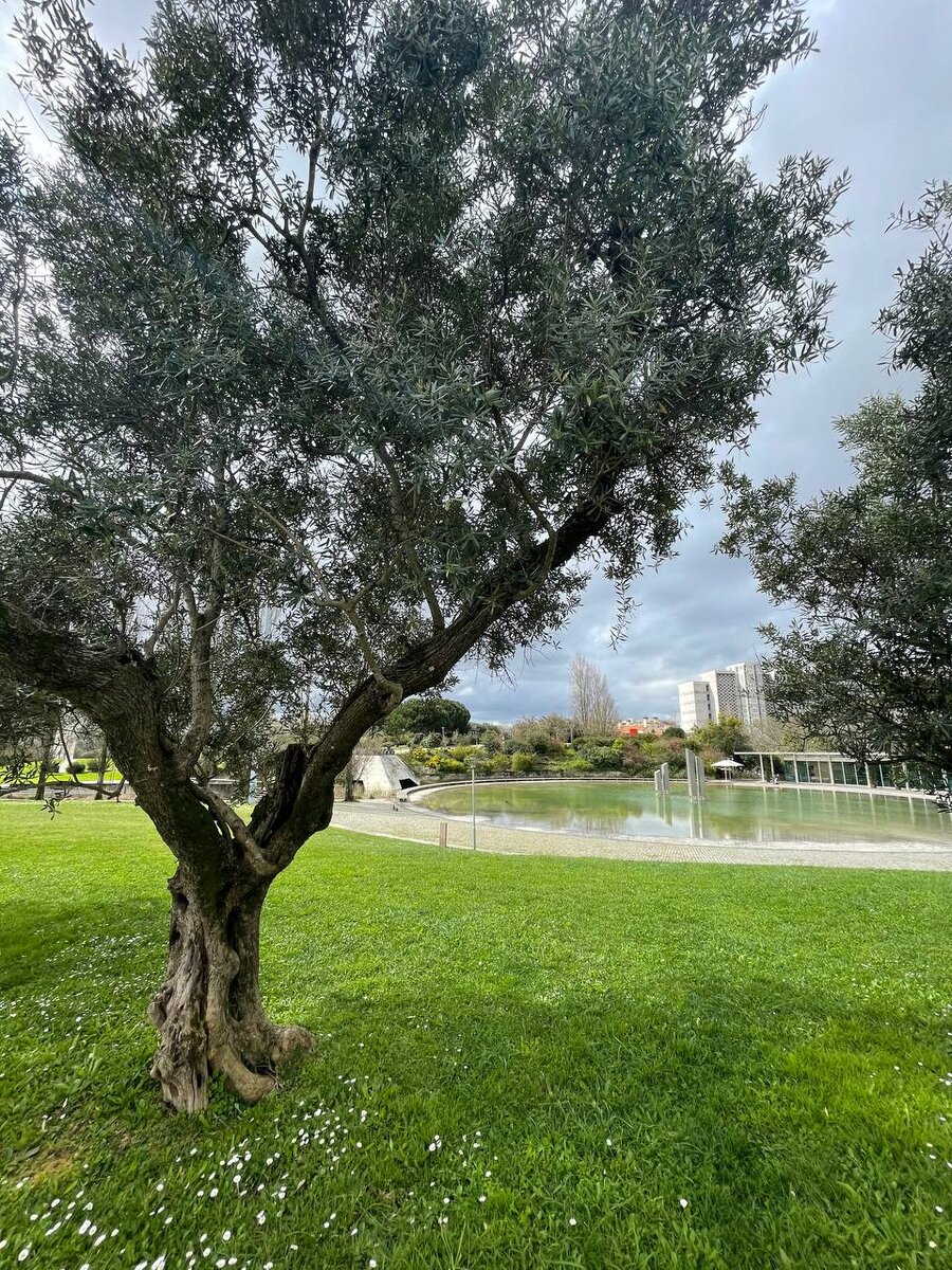 Парк Лиссабона, Португалия