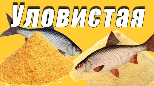 Самая простая прикормка, доступна всем, как сделать | Рыбалка на мели Life | Дзен