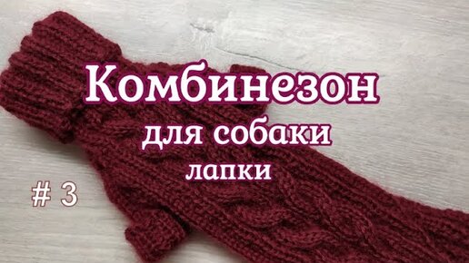 Вязанный комбинезон для собаки. Схема вязания 5