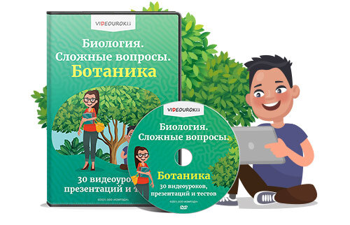 Видеоуроки биология 8 класс человек. «Биология. Сложные вопросы. Ботаника». Ботаника видеоуроки.