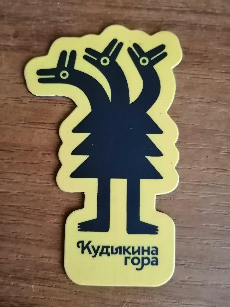 Это сын себе выбрал магнитик