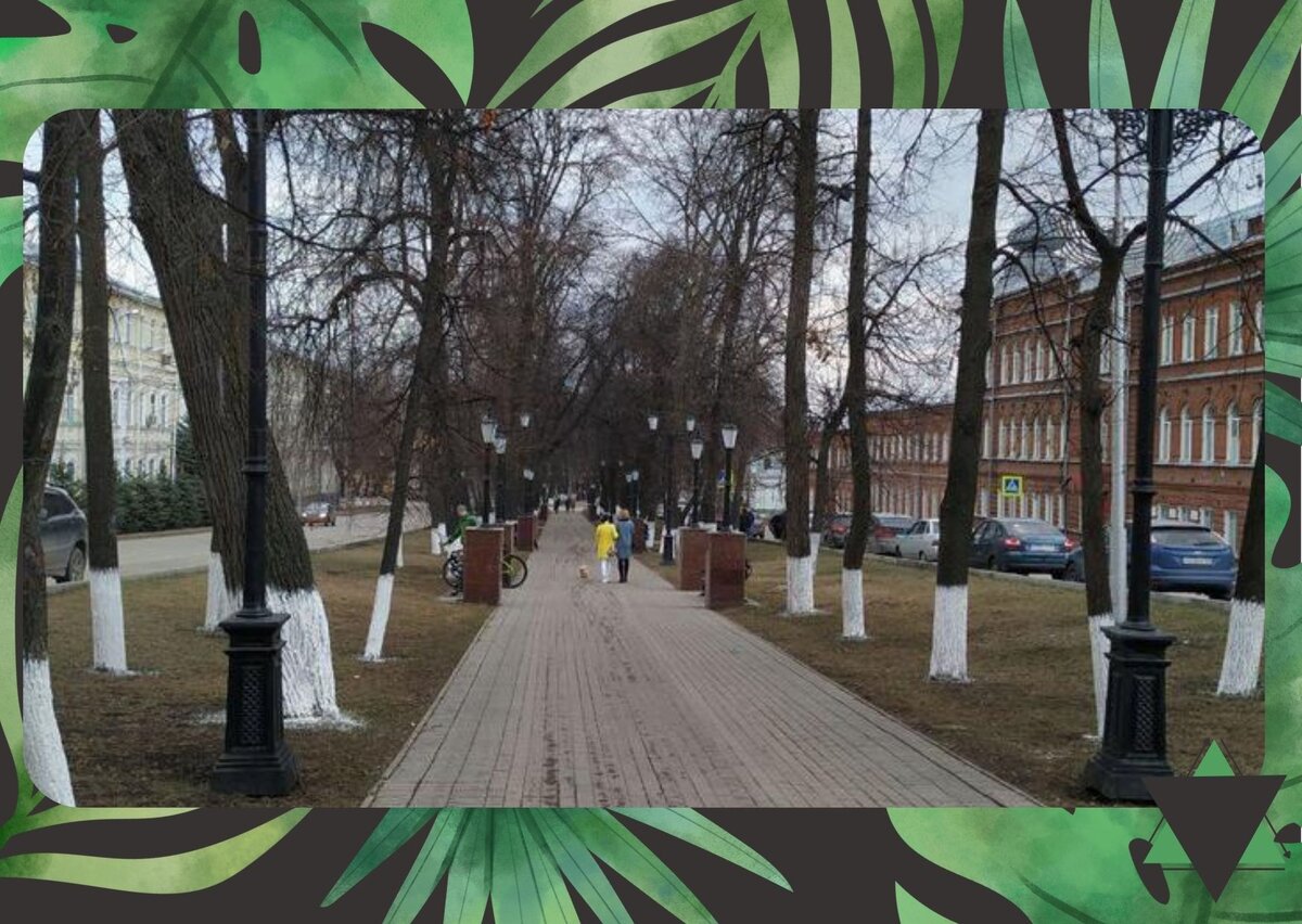 Парки с окрашенными стволами выглядят далеко неэстетично. 