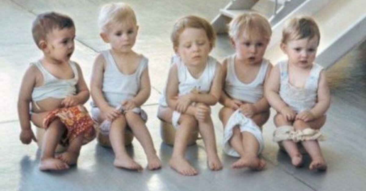 Фото взято из интернета из свободного доступа