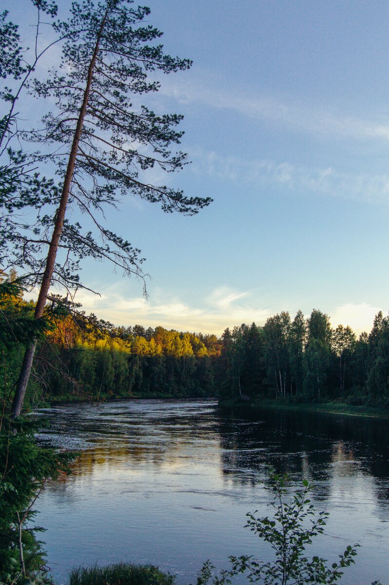 Вид на реку Шуя
