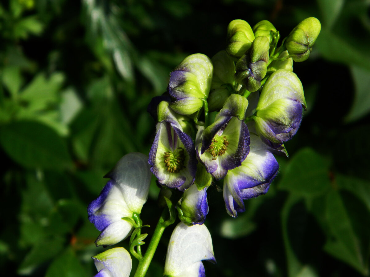 фото автора канала