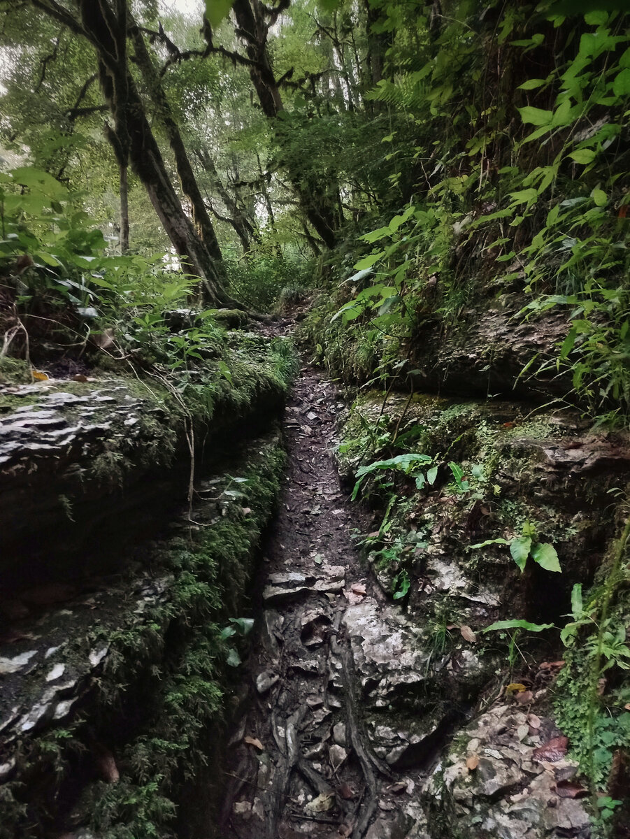 ТРопински в Дзыхринском ущелье