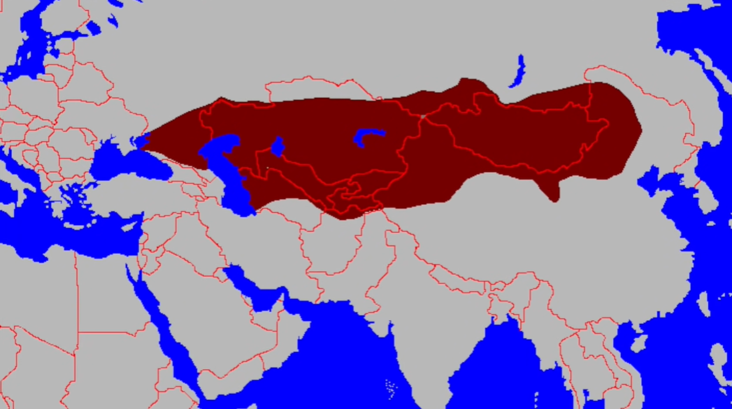 Территории Тюркского каганата
