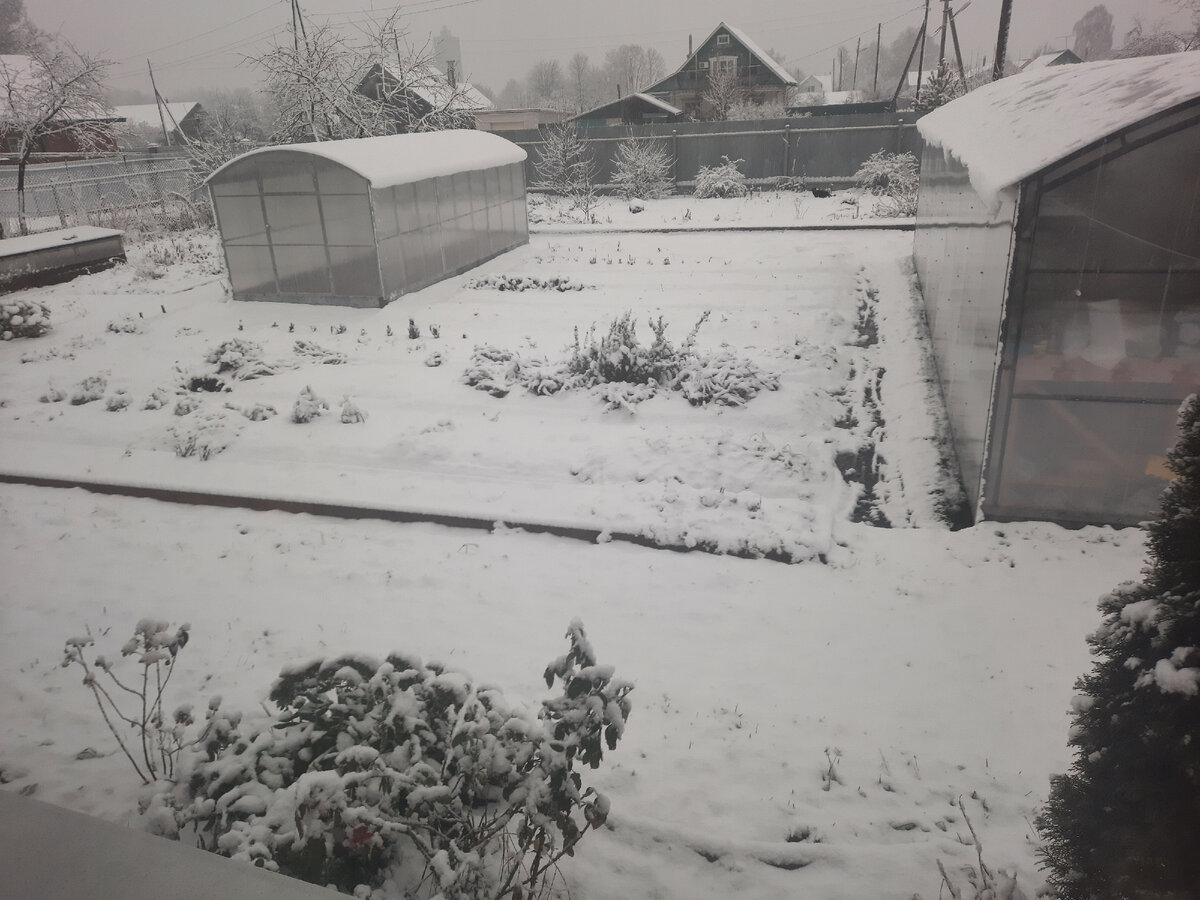 Наш участок на 12 ноября