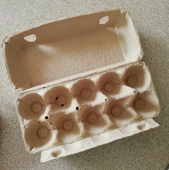 Ни за что не догадаетесь, зачем я делаю эту странную манипуляцию с картонной яичной коробкой. Увидела, что так родственница делает, и я теперь тоже заливаю коробки водой.