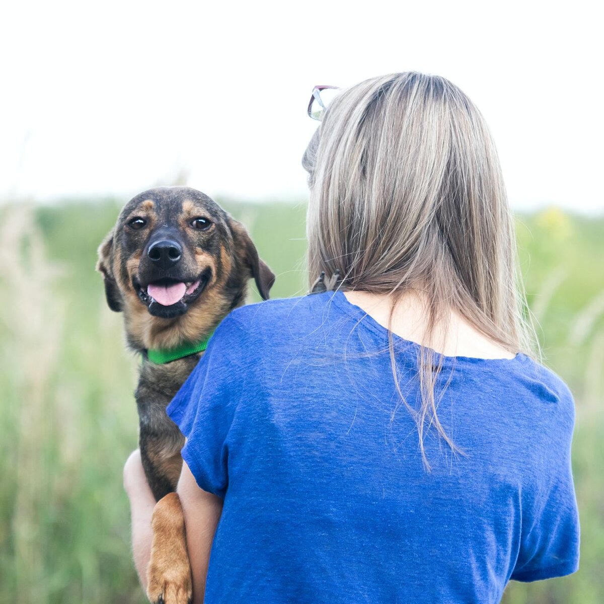 Это красавица Мята, подопечная наших волонтеров