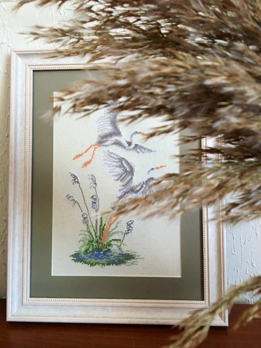 Фото сковзь камыши 