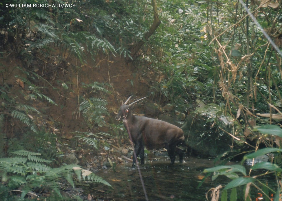 Отыщи меня. Если сможешь!