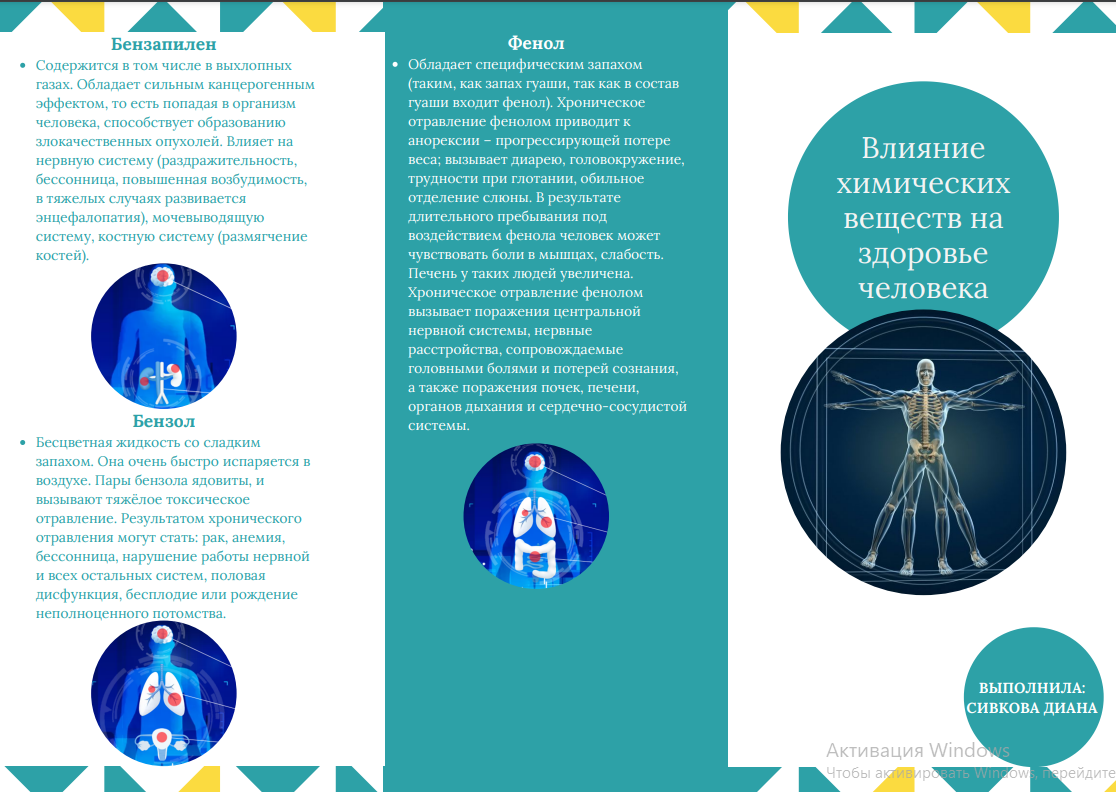 Буклет | В мире Информационной культуры | Дзен