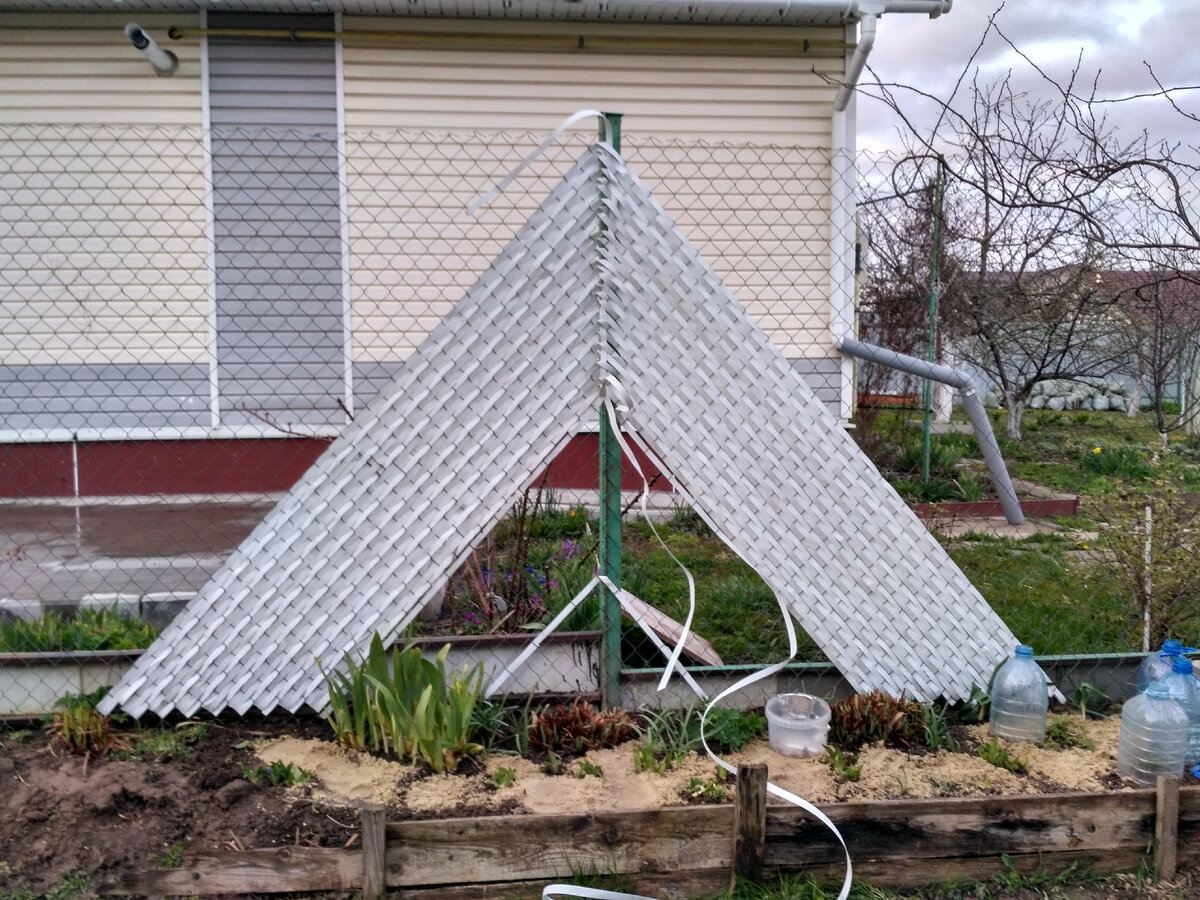 Апрель 2019 года