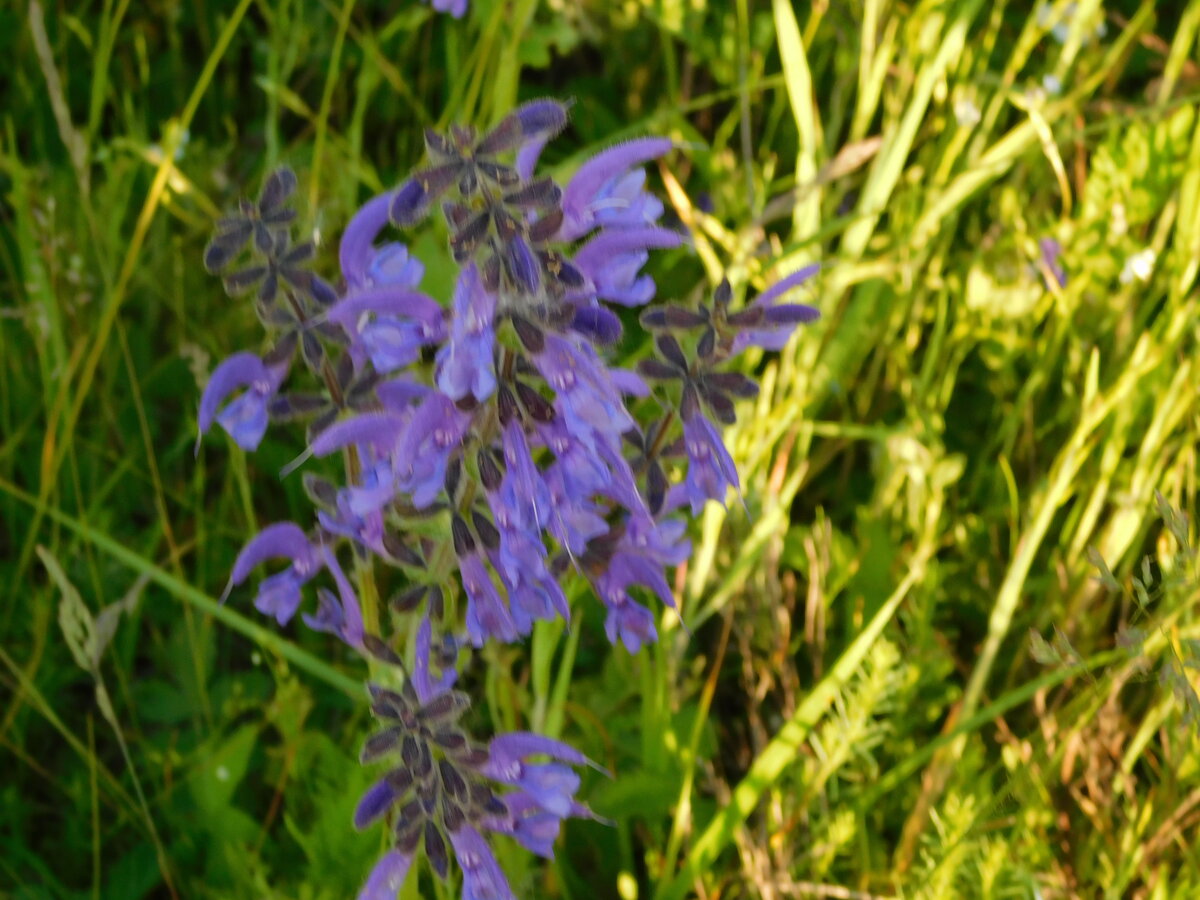 Фото автора канала