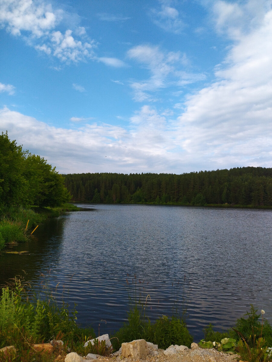 Это речка с природой. Фото автора. 