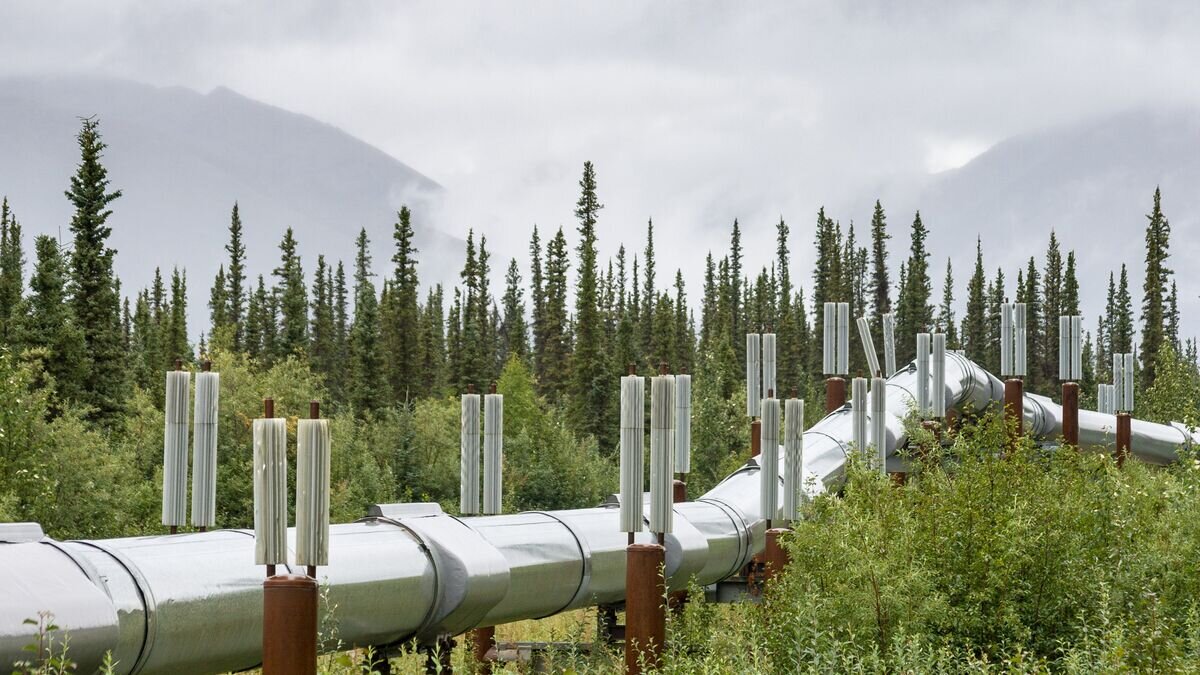    Трансаляскинский нефтепроводCC BY 2.0 / Bureau of Land Management Alaska/Craig McCaa / Rainy pipeline