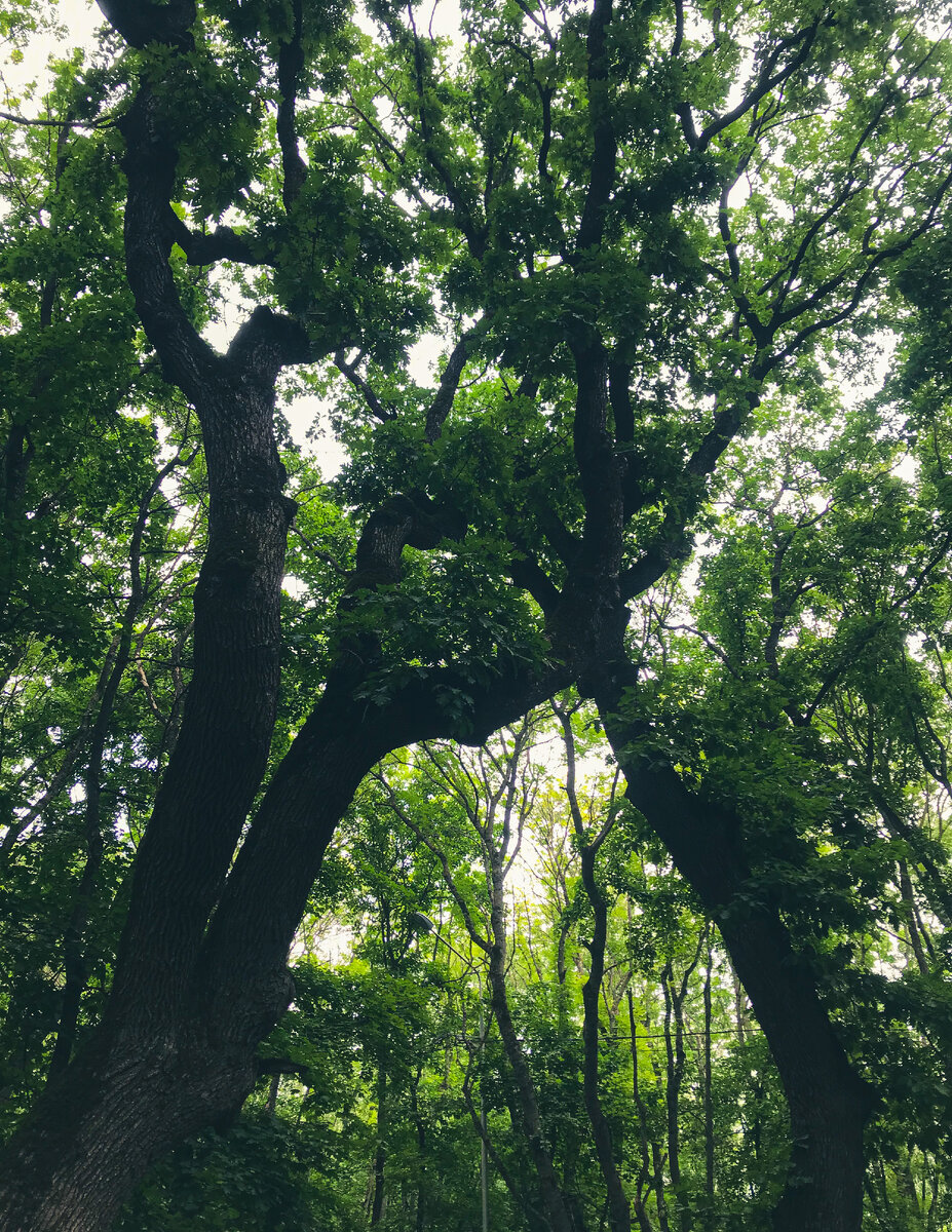 вокруг Машука