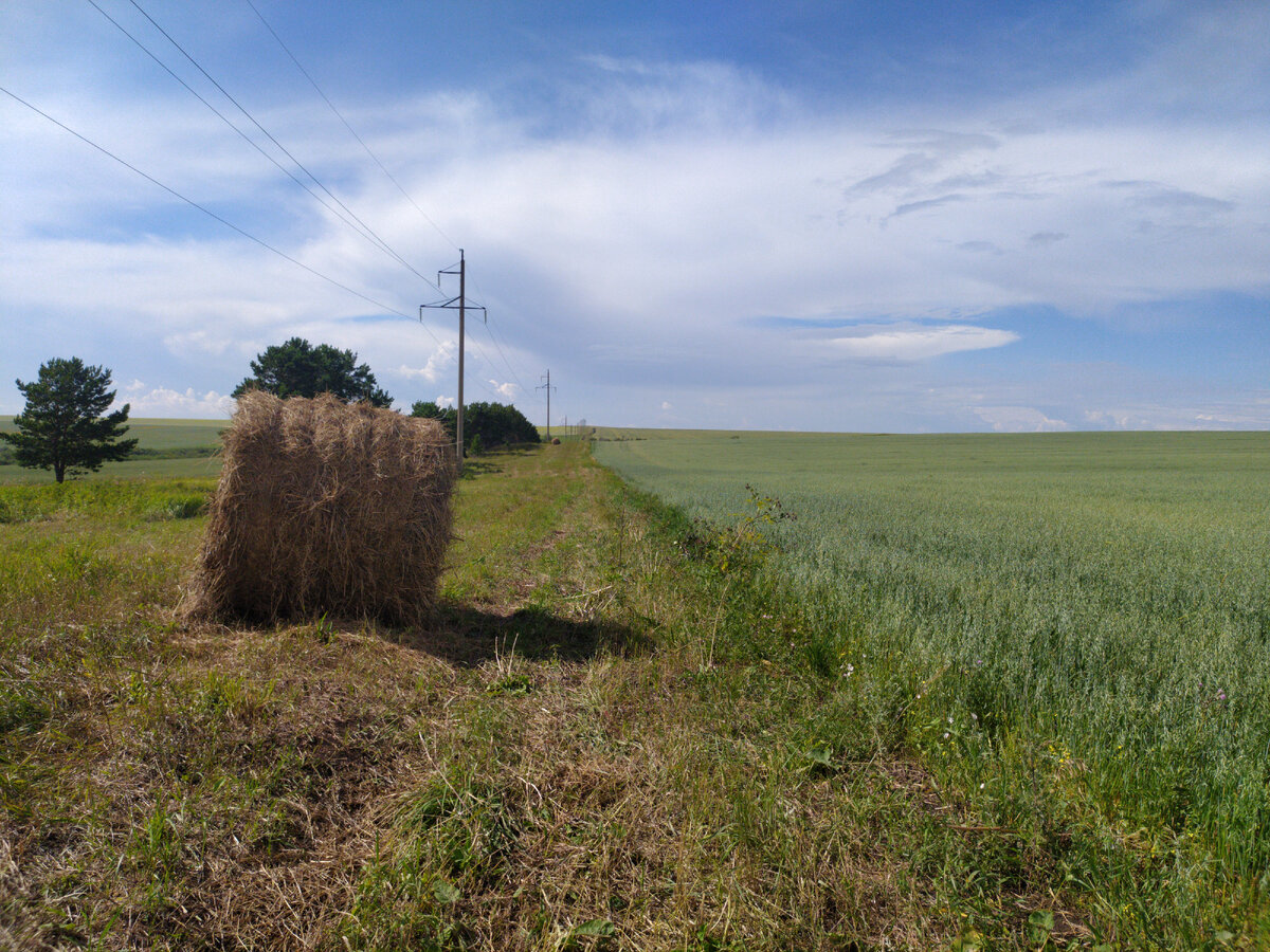 Село дзен