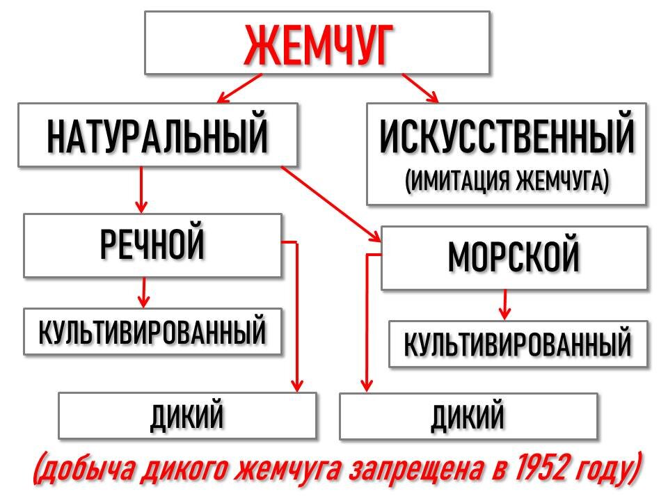 Закуска “Ракушки с жемчужиной”