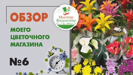 #6 Обзор цветочного магазина 