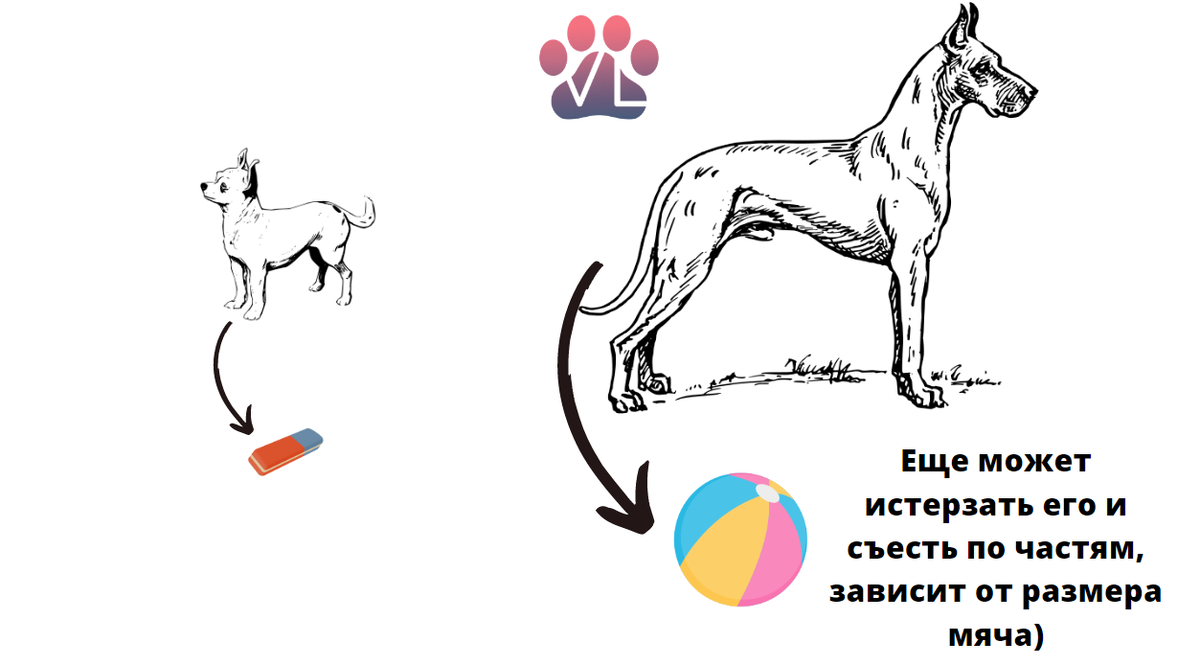 Скоро во всех кошках и собаках страны! / акции пятёрочки, магнита и пр. как  причина хирургического лечения животных | Ветеринарный диетолог vetLIFE |  Дзен