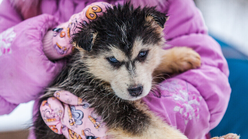 ФОТО : МТРК «МИР» / Артем Куковский