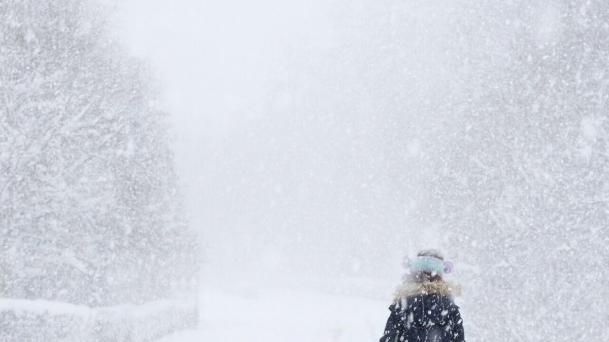     Механизированные колонны продолжают борьбу с циклоном во всех районах города.