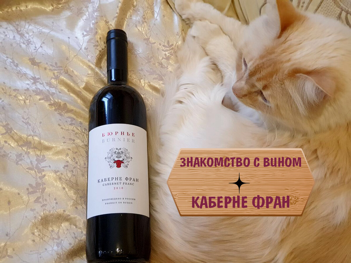 Esse. Квинтэссенция каберне фран. Собер баш каберне фран. Сикоры розовое каберне фран. Каберне совиньон сикоры.