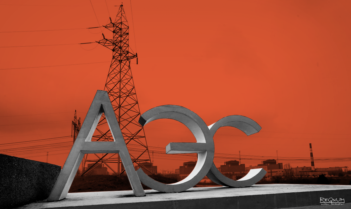    АЭС Иван Шилов © ИА REGNUM