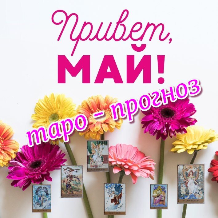 коллаж ЕлВиты