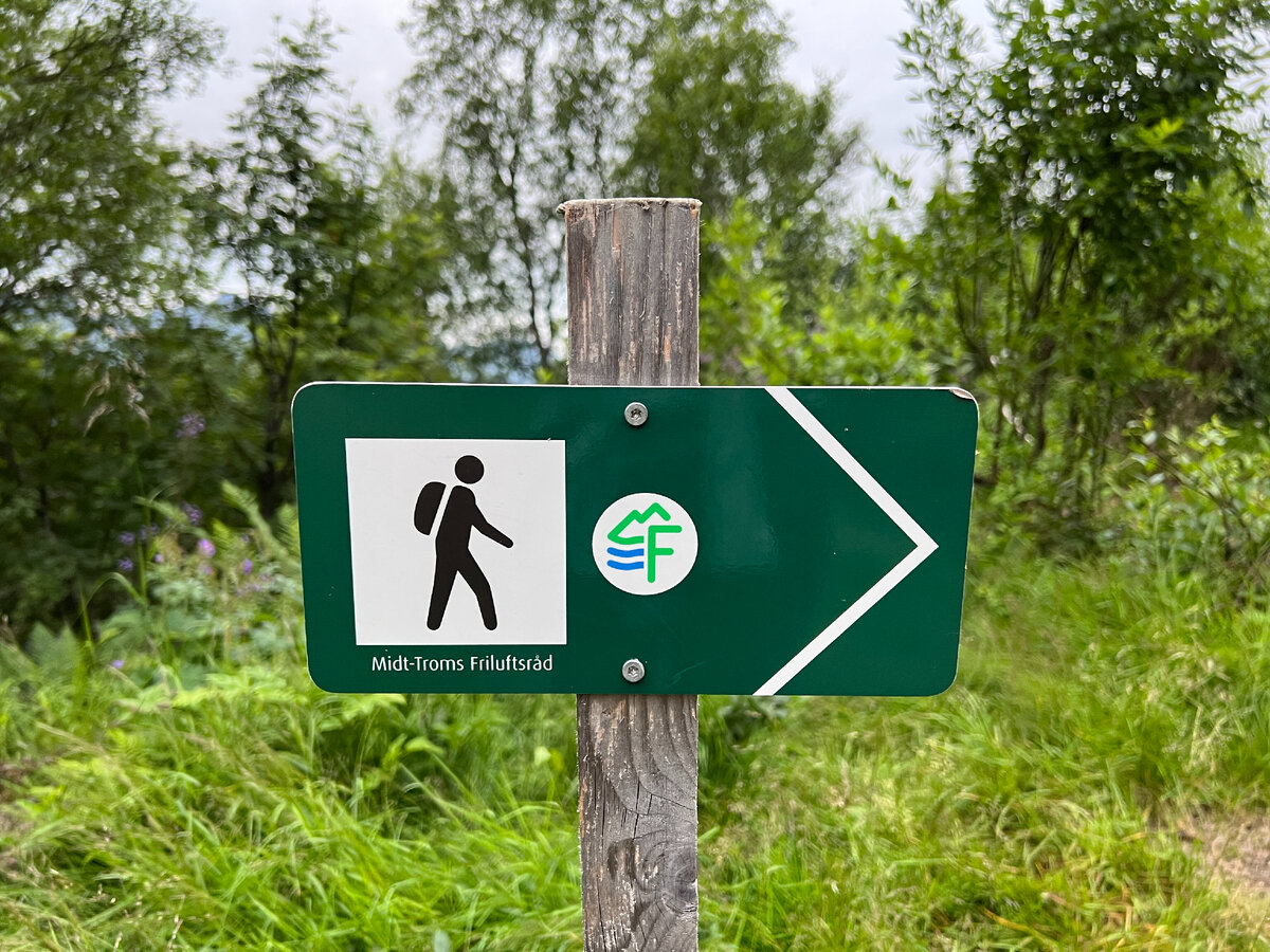 Начало трека. Маршрут невысокой сложности. Указано направление. Фото автора