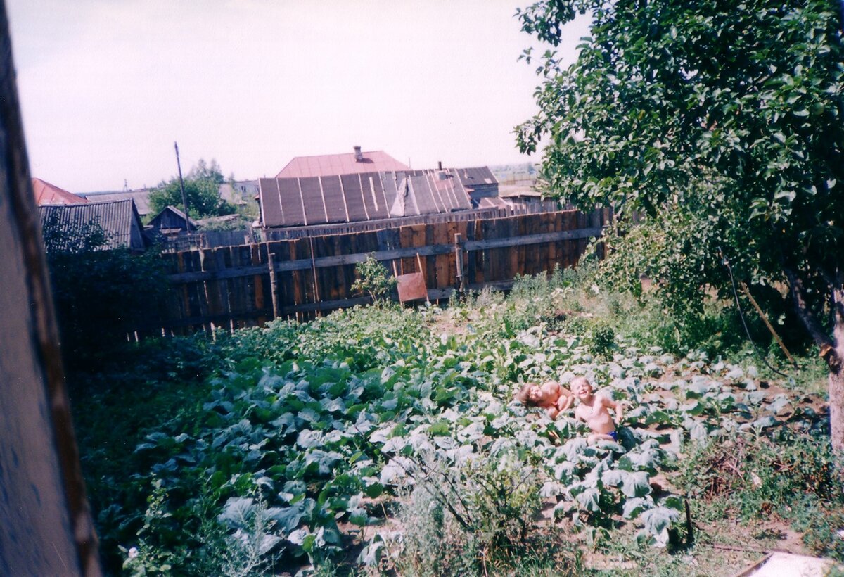Капустное лето. Мои дети в капусте. 2002 год.