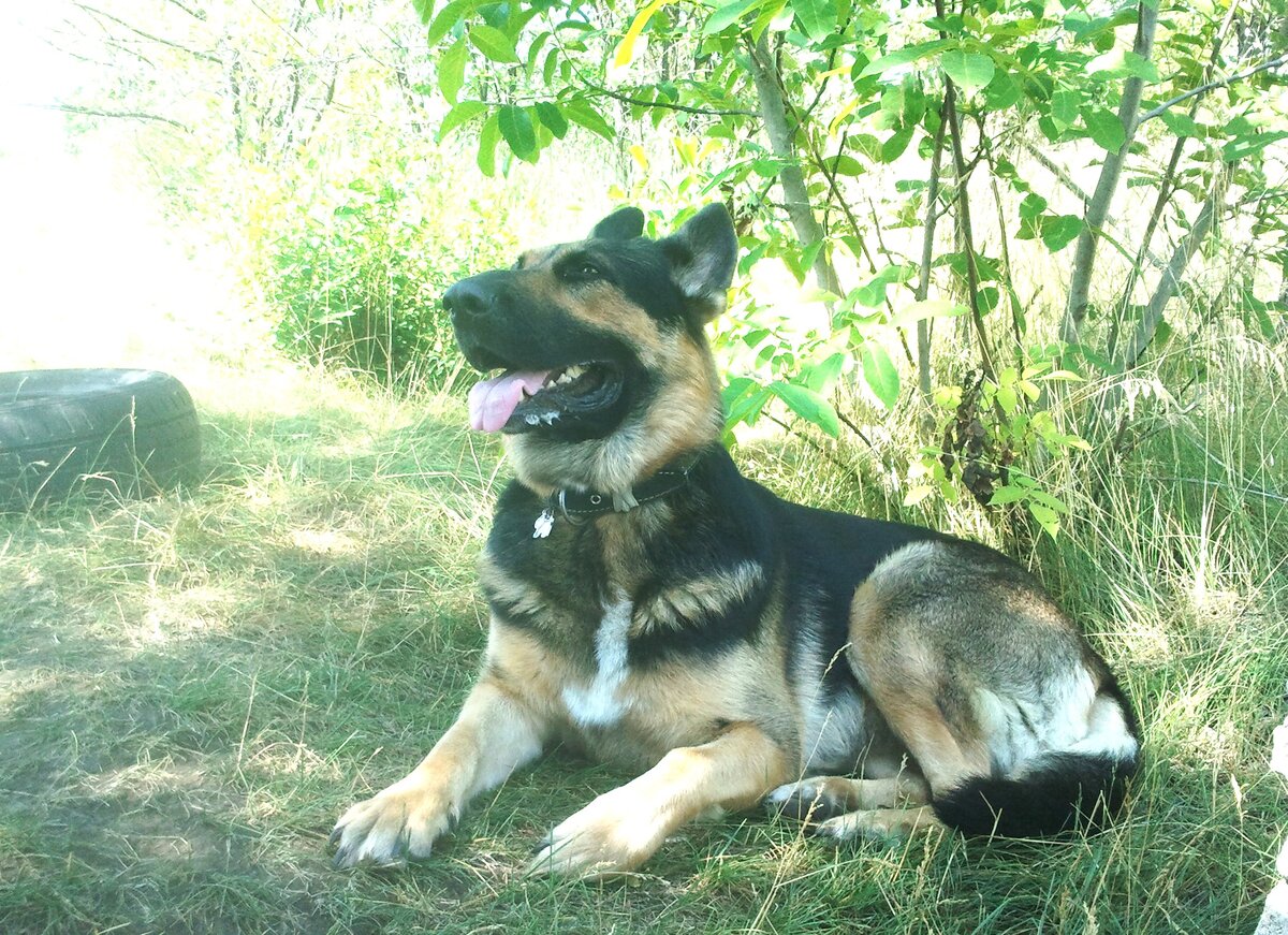 Фото автора