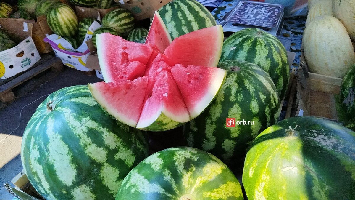 Бахчевой бум: где, откуда и почем можно купить арбузы и дыни в Оренбурге? |  56orb.ru | Дзен